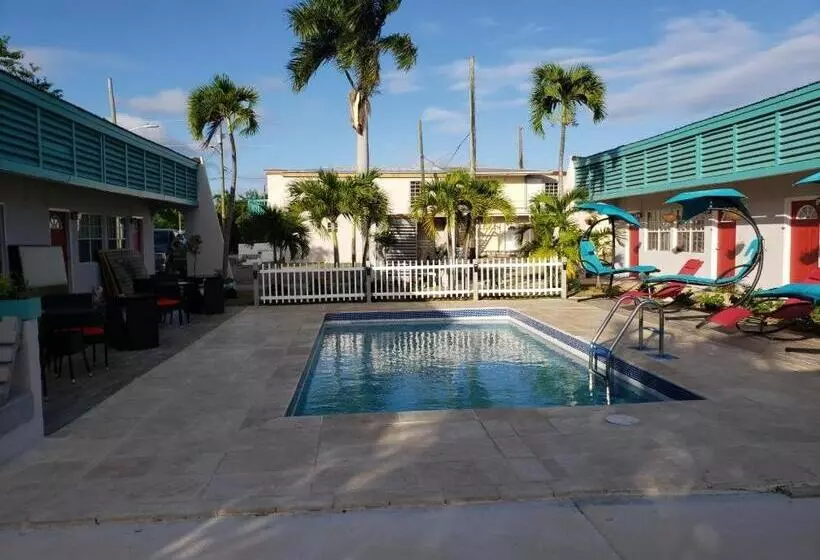 هاستل Georges Royal Inn