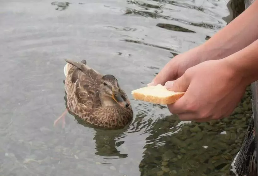 ペンション Glautschhof