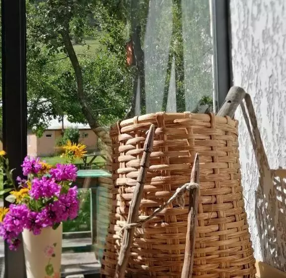 پانسیون Ioska's House