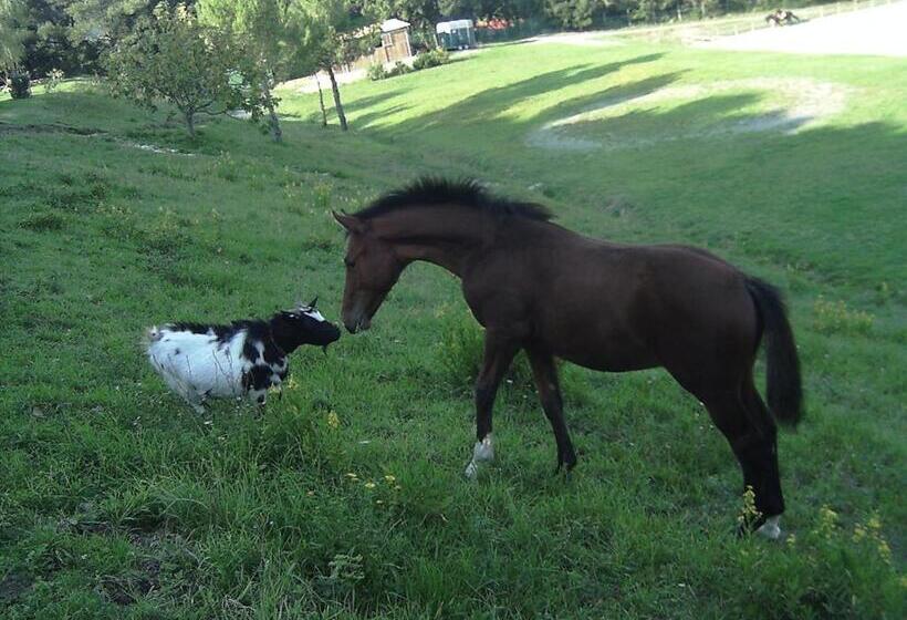Erba Di Campo Residence