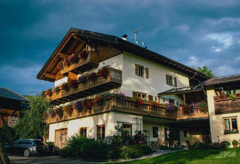 酒店 Ganoihof Apartments