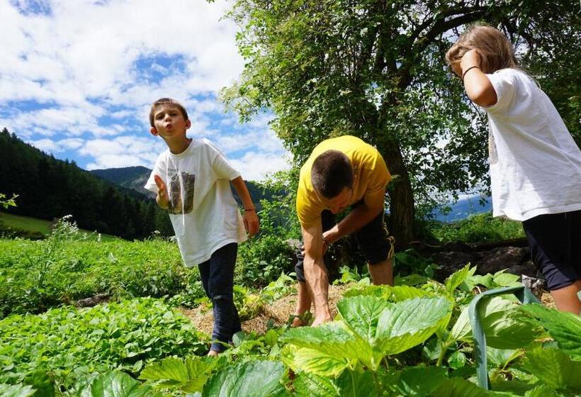 酒店 Ganoihof Apartments