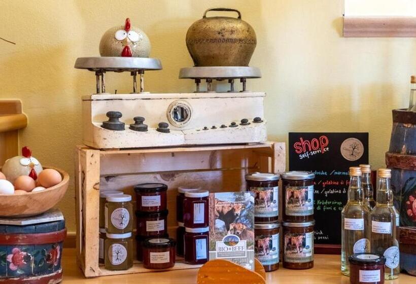 酒店 Ganoihof Apartments