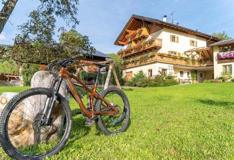 酒店 Ganoihof Apartments