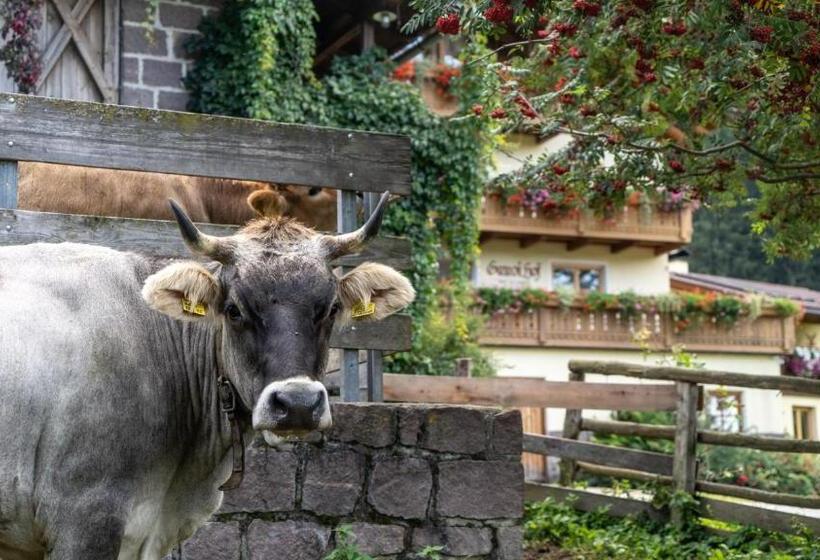 酒店 Ganoihof Apartments