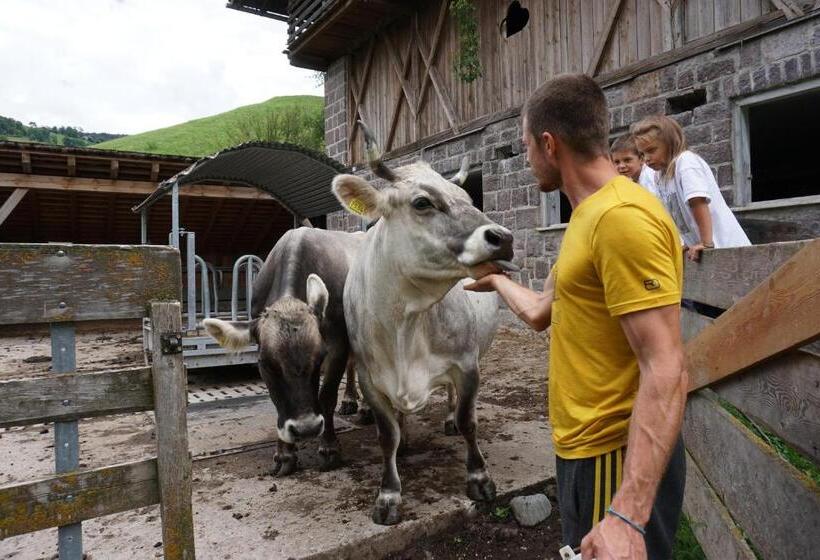 酒店 Ganoihof Apartments
