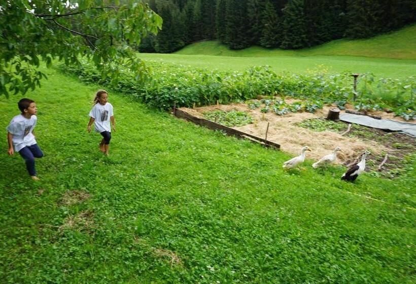 酒店 Ganoihof Apartments