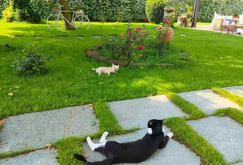 ホテル Villa Albina