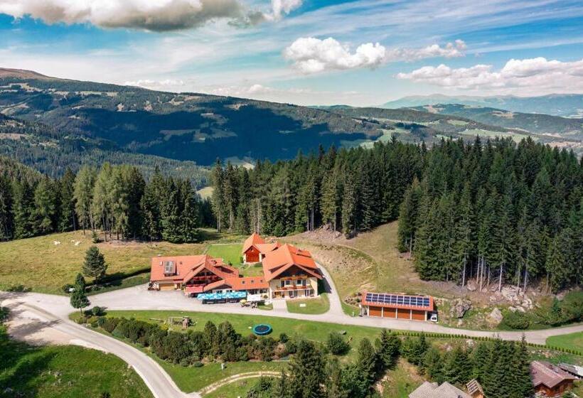 Пансион Alpengasthaus Gießlhütte