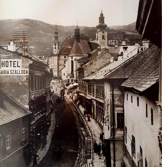 פנסיון Penzión Rozália