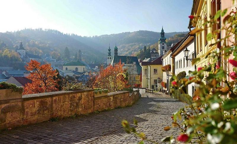 פנסיון Penzión Rozália