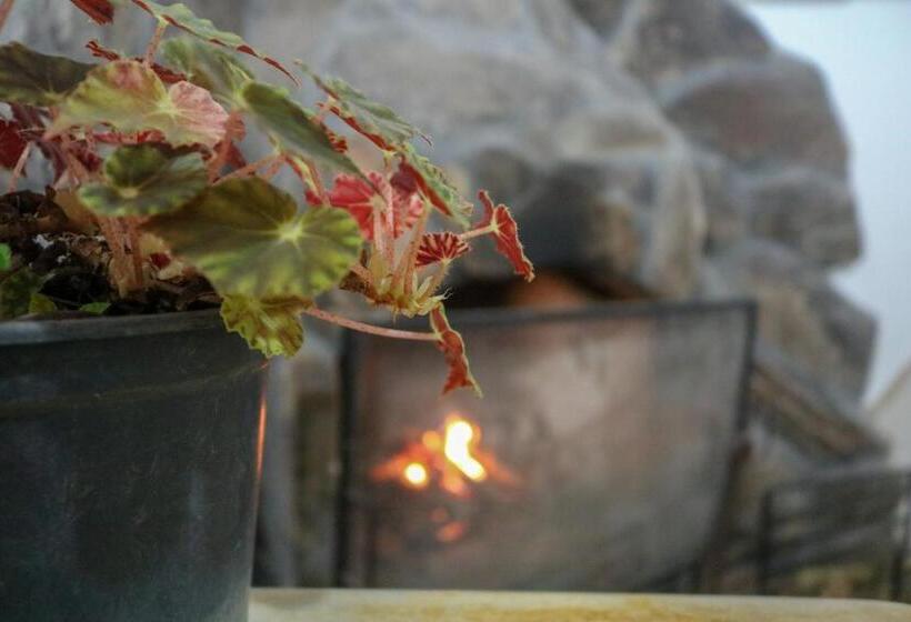 پانسیون Pousada Arco íris