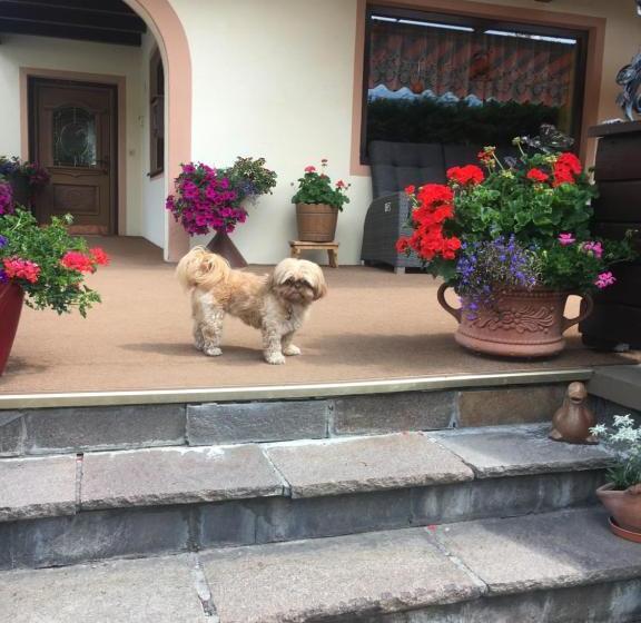 פנסיון Tirolerheim Grüner