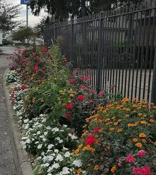 Отель American Value Inn