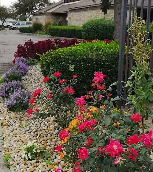 Отель American Value Inn