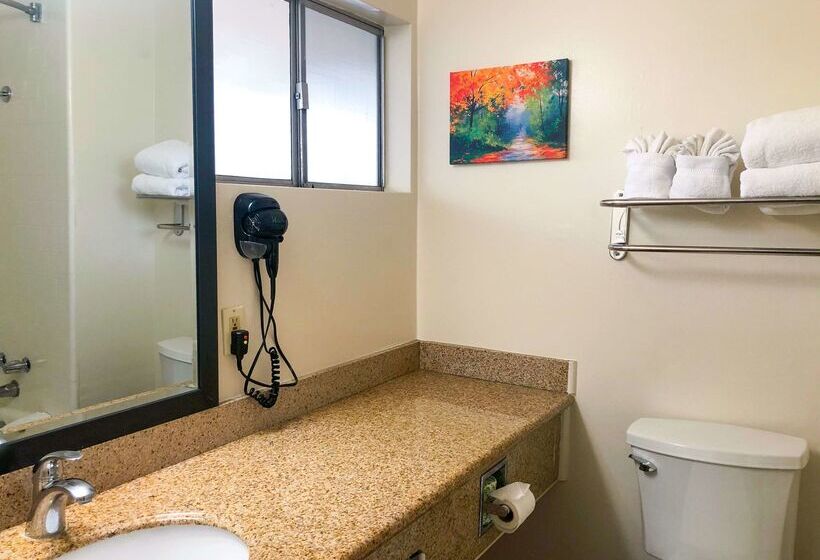 هتل Americas Best Value Presidents Inn On Munras