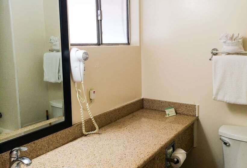 هتل Americas Best Value Presidents Inn On Munras