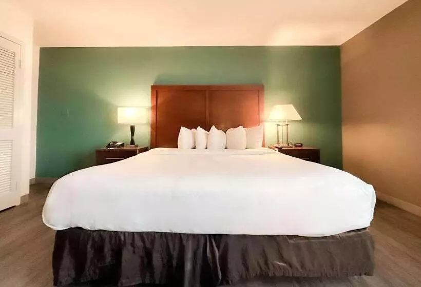 Отель Comfort Inn & Suites Kissimmee By The Parks