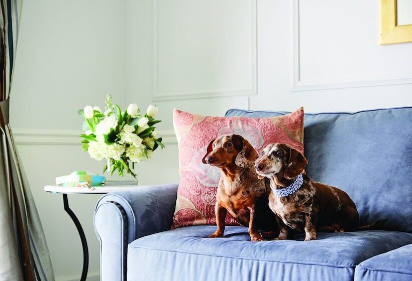 فندق The Charleston Place