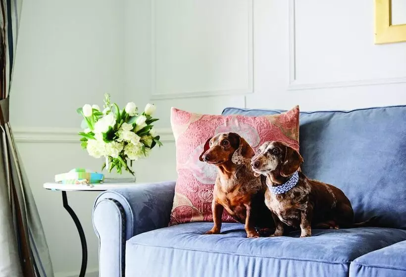 בית מלון כפרי The Charleston Place