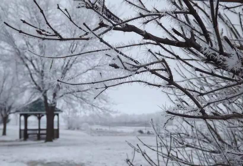 モーテル Crest Country Inn