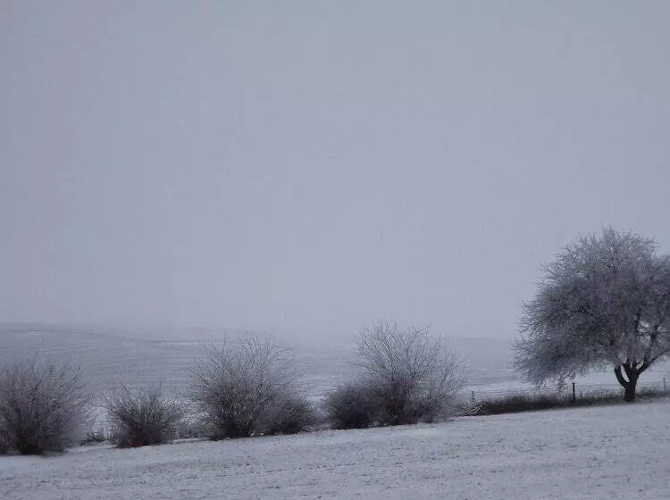 モーテル Crest Country Inn