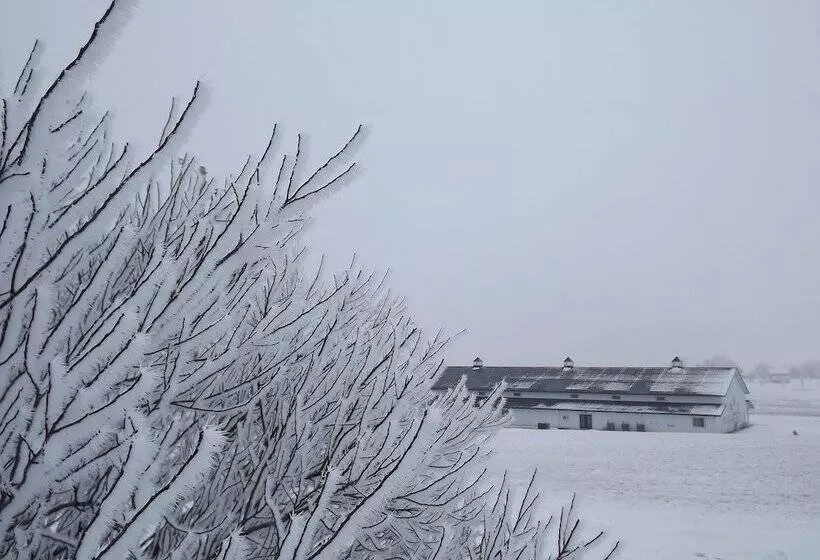 モーテル Crest Country Inn