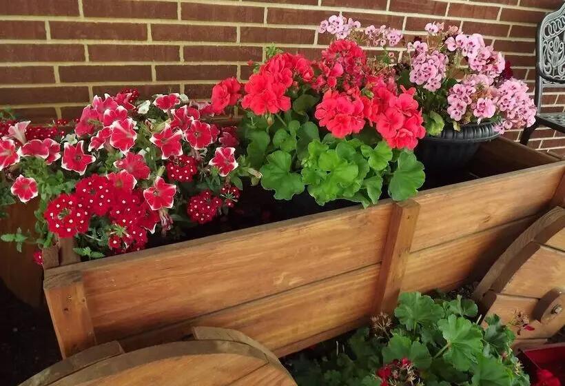 モーテル Crest Country Inn