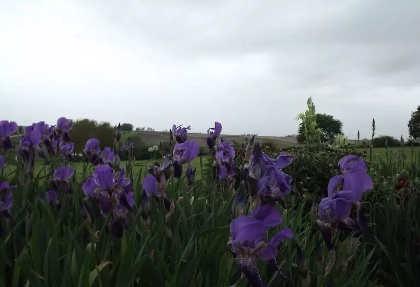 モーテル Crest Country Inn