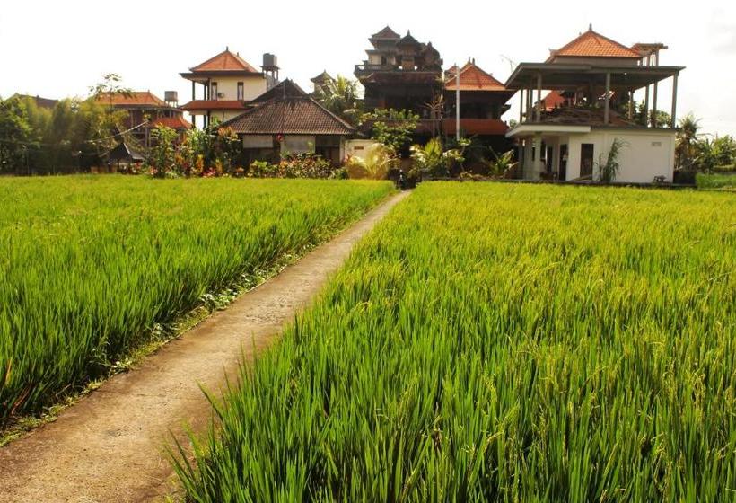 בית מלון כפרי Monka House