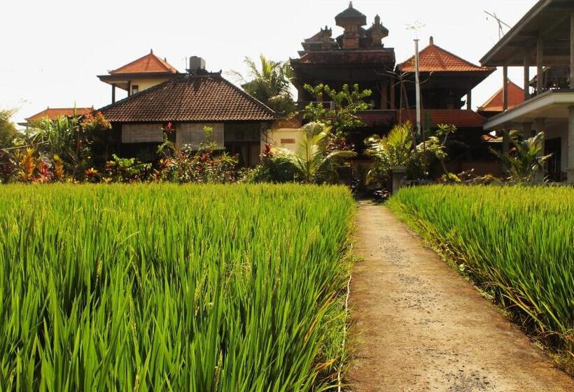 בית מלון כפרי Monka House