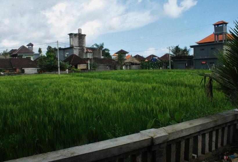 בית מלון כפרי Monka House