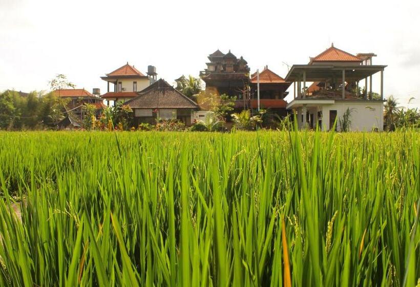 בית מלון כפרי Monka House