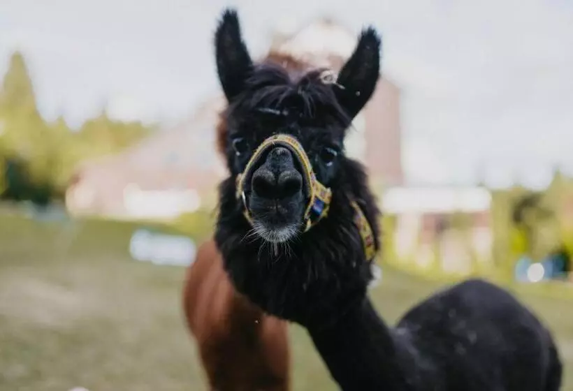 ホテル Orea Resort Horizont šumava