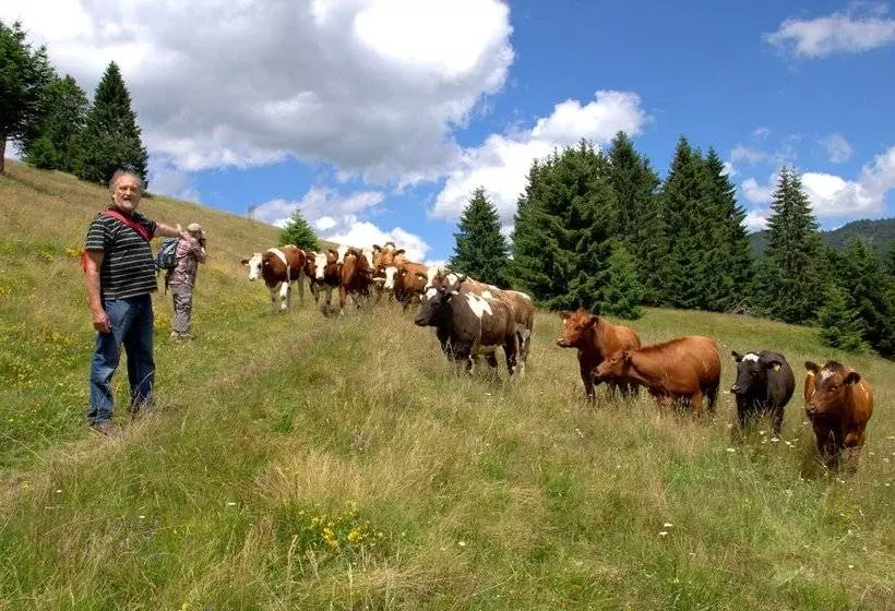 Landgasthof Hotel Bergblick