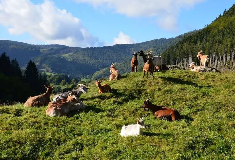 Landgasthof Hotel Bergblick