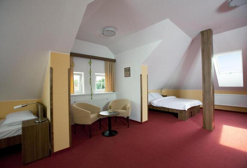 پانسیون Penzion Na Hvězdě