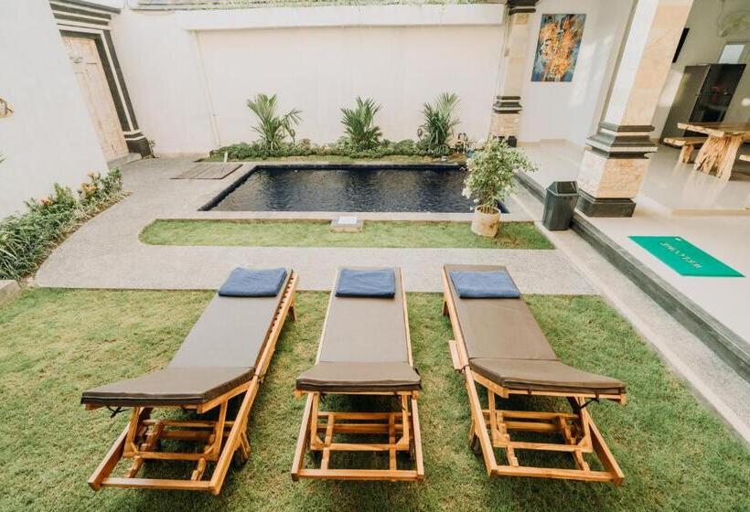 بنسيون Nova Guest House