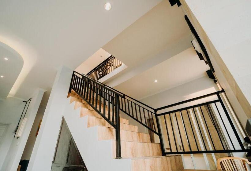 بنسيون Nova Guest House