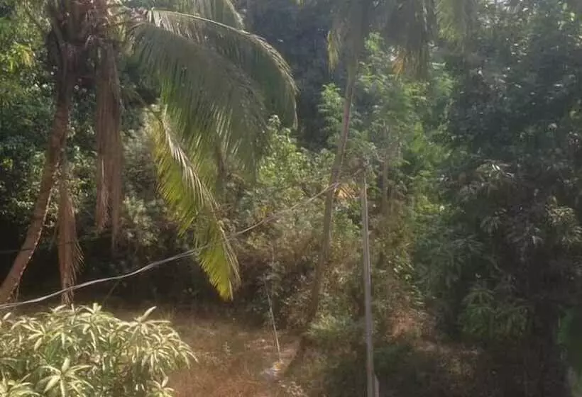 Pension Baga Villa Bnb