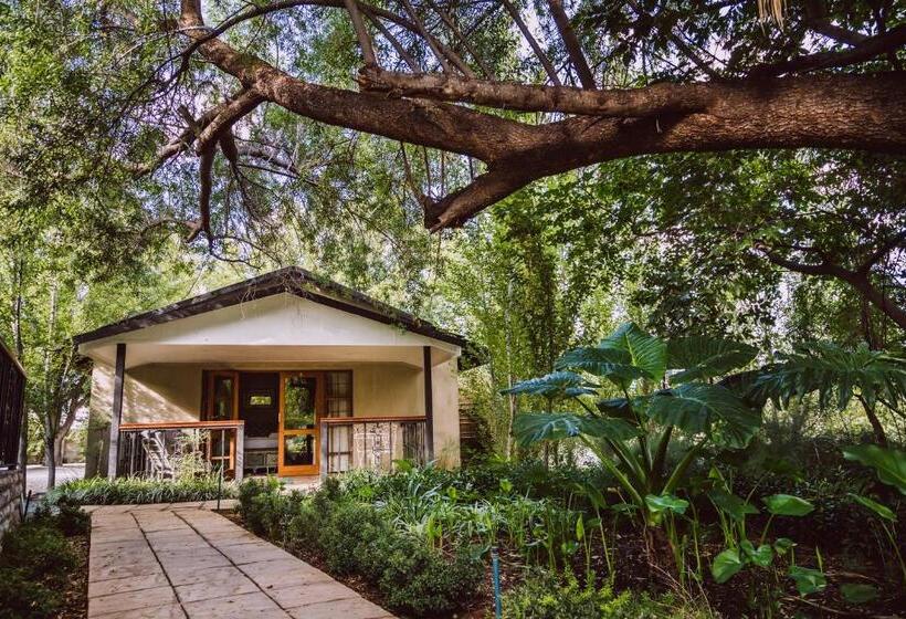 פנסיון Villiera Guesthouse