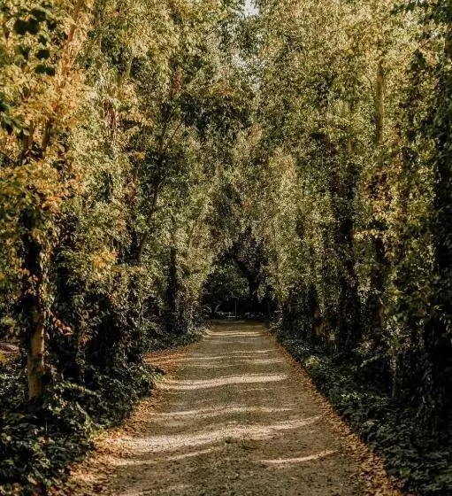 Majatalo Villiera Guesthouse