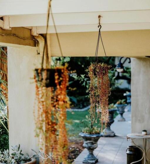 פנסיון Villiera Guesthouse