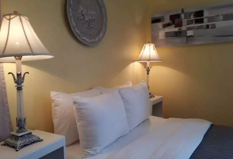 簡易ホテル L'auberge De Quai