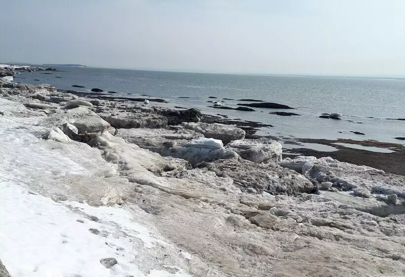 簡易ホテル L'auberge De Quai