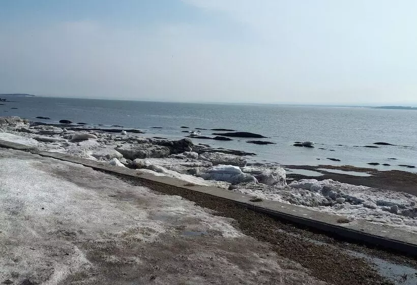 簡易ホテル L'auberge De Quai