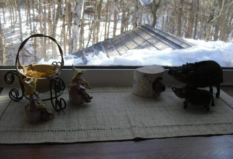 פנסיון Gasthof Ascot