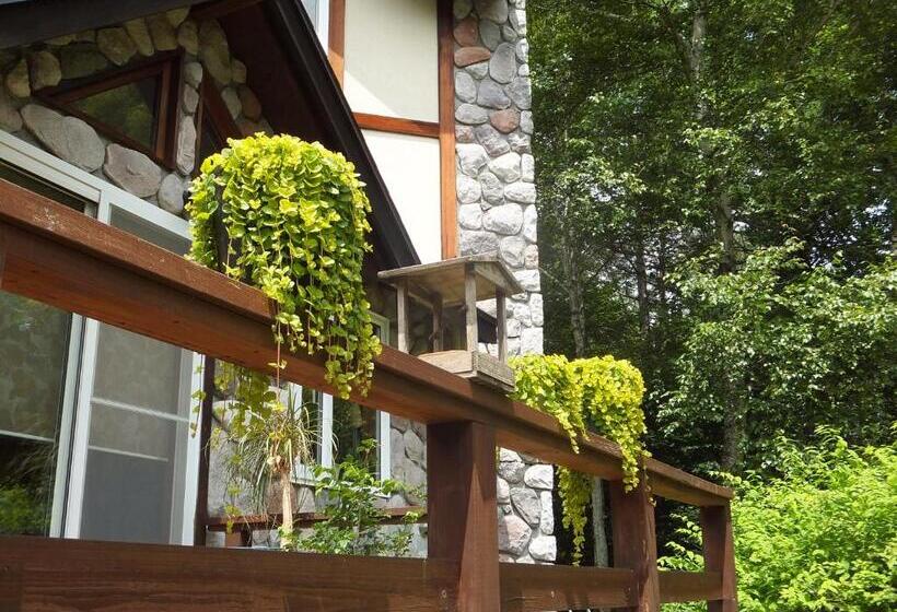 פנסיון Gasthof Ascot