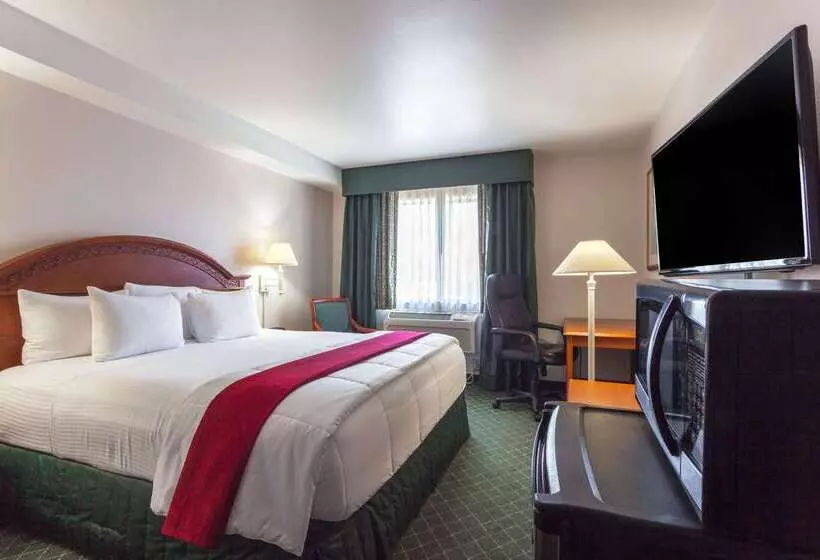 هتل Baymont Inn & Suites By Wyndham