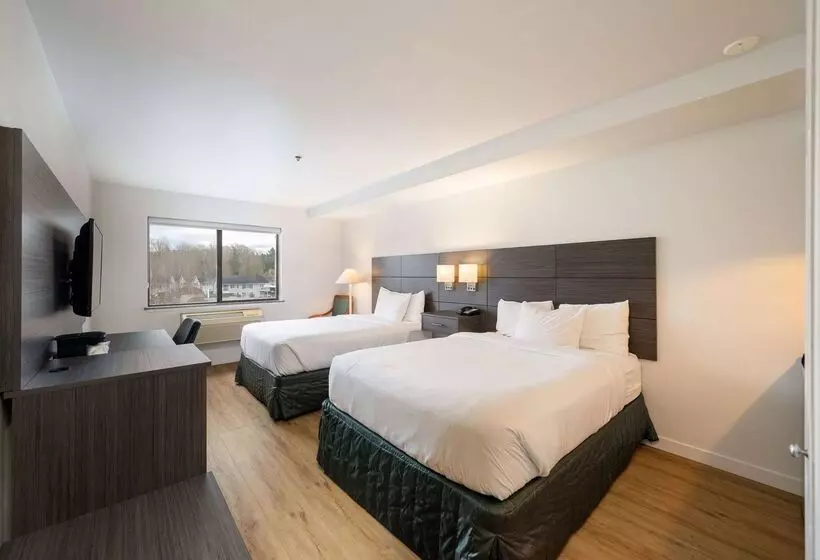 هتل Baymont Inn & Suites By Wyndham